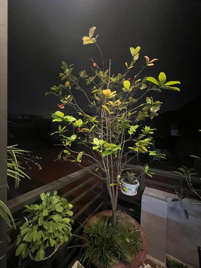 Sunflower Homestay Hai Phong Bagian luar foto