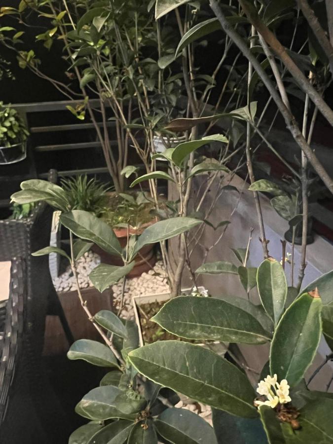 Sunflower Homestay Hai Phong Bagian luar foto