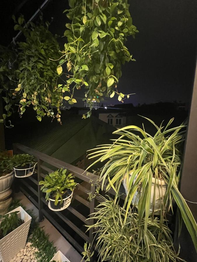 Sunflower Homestay Hai Phong Bagian luar foto